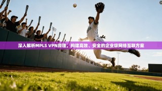 深入解析MPLS VPN原理，构建高效、安全的企业级网络互联方案