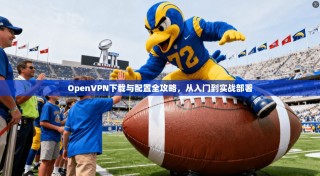 OpenVPN下载与配置全攻略，从入门到实战部署