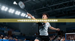 VPN刷查背后的网络安全隐患与合规风险解析