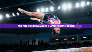 合法合规使用虚拟私人网络（VPN）技术的正确指南