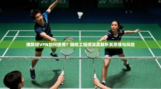 佛跳墙VPN如何使用？网络工程师深度解析其原理与风险