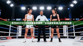 华为WS318 VPN设备深度解析，企业级安全接入的可靠选择