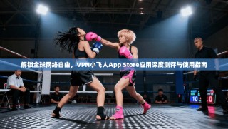 解锁全球网络自由，VPN小飞人App Store应用深度测评与使用指南