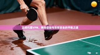 正规代理VPN，网络自由与合规安全的平衡之道