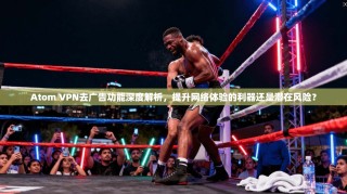 Atom VPN去广告功能深度解析，提升网络体验的利器还是潜在风险？