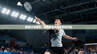 移动VPN宽带，连接自由与安全的双刃剑