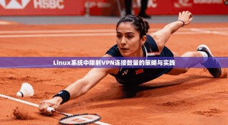Linux系统中限制VPN连接数量的策略与实践
