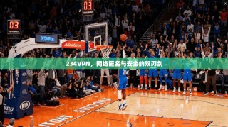 234VPN，网络匿名与安全的双刃剑