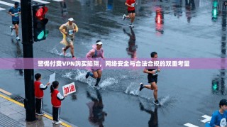 警惕付费VPN购买陷阱，网络安全与合法合规的双重考量