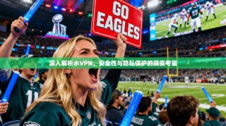 深入解析ホVPN，安全性与隐私保护的现实考量