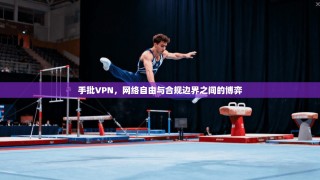 手批VPN，网络自由与合规边界之间的博弈