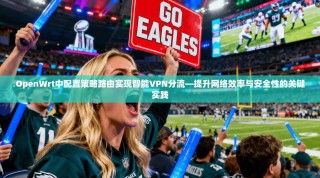 OpenWrt中配置策略路由实现智能VPN分流—提升网络效率与安全性的关键实践