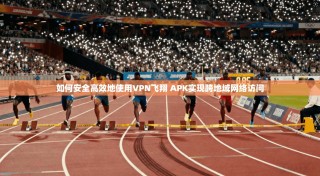 如何安全高效地使用VPN飞翔 APK实现跨地域网络访问