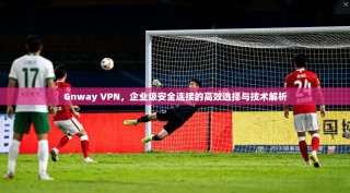 Gnway VPN，企业级安全连接的高效选择与技术解析