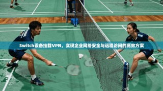 Switch设备挂载VPN，实现企业网络安全与远程访问的高效方案