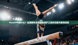 PureVPN是什么？全面解析这款隐私保护工具的功能与使用场景