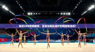 地瓜VPN官网解析，安全与隐私保护的网络新选择？