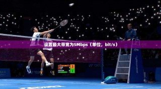 设置最大带宽为5Mbps（单位，bit/s）