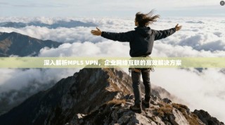 深入解析MPLS VPN，企业网络互联的高效解决方案