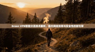 Green VPN智能分流技术解析，提升网络效率与安全性的新引擎