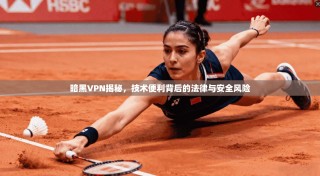 暗黑VPN揭秘，技术便利背后的法律与安全风险