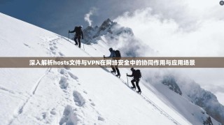 深入解析hosts文件与VPN在网络安全中的协同作用与应用场景