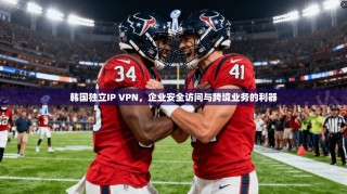 韩国独立IP VPN，企业安全访问与跨境业务的利器