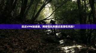 迅达VPN加速器，网络优化利器还是潜在风险？