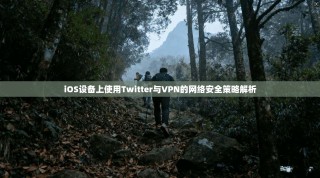 iOS设备上使用Twitter与VPN的网络安全策略解析