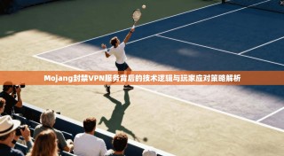 Mojang封禁VPN服务背后的技术逻辑与玩家应对策略解析