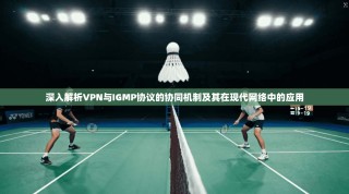 深入解析VPN与IGMP协议的协同机制及其在现代网络中的应用