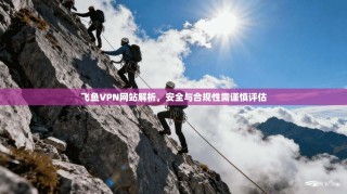 飞鱼VPN网站解析，安全与合规性需谨慎评估