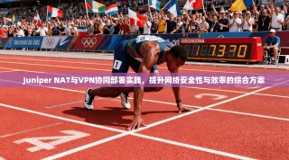 Juniper NAT与VPN协同部署实践，提升网络安全性与效率的综合方案