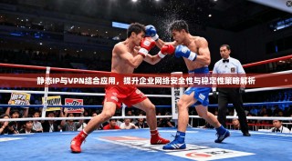 静态IP与VPN结合应用，提升企业网络安全性与稳定性策略解析