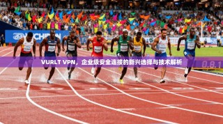 VURLT VPN，企业级安全连接的新兴选择与技术解析