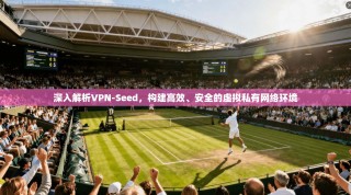 深入解析VPN-Seed，构建高效、安全的虚拟私有网络环境