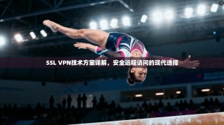 SSL VPN技术方案详解，安全远程访问的现代选择