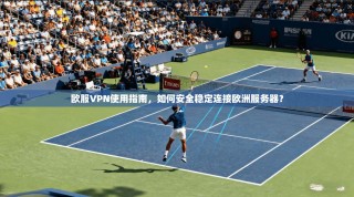 欧服VPN使用指南，如何安全稳定连接欧洲服务器？