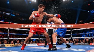 天行海豚VPN，网络自由的利器还是潜在风险？