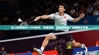 深入解析MPLS VPN技术，构建高效、安全的企业广域网解决方案