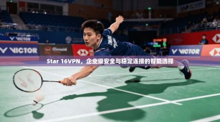 Star 16VPN，企业级安全与稳定连接的智能选择