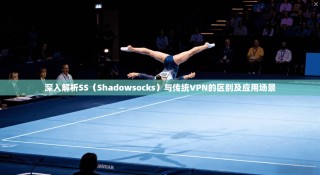 深入解析SS（Shadowsocks）与传统VPN的区别及应用场景