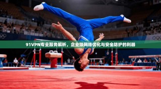 91VPN专业服务解析，企业级网络优化与安全防护的利器