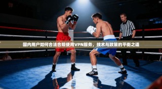 国内用户如何合法合规使用VPN服务，技术与政策的平衡之道