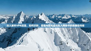 深入解析VPN流量，如何识别、管理与优化虚拟私人网络中的数据包传输