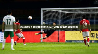 CentOS 7 系统中配置 OpenVPN 服务的完整指南