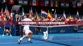 蓝灯VPN价格解析，性价比与安全性的权衡指南