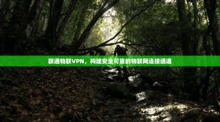 联通物联VPN，构建安全可靠的物联网连接通道