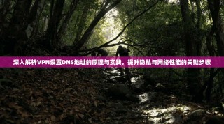 深入解析VPN设置DNS地址的原理与实践，提升隐私与网络性能的关键步骤