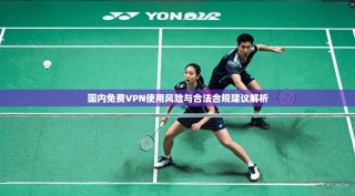 国内免费VPN使用风险与合法合规建议解析